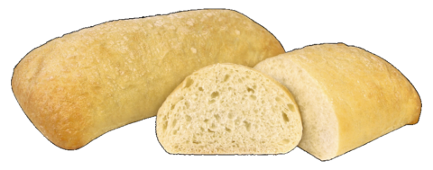 PANINI